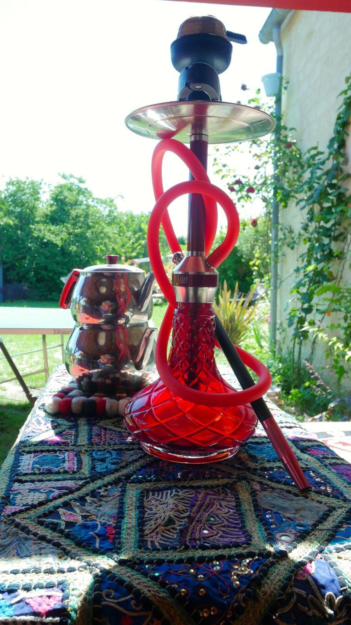 Les Jardins D'Ispahan Prignac-et-Marcamps Екстер'єр фото